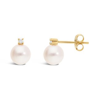 Puces Adriana | Carat et Moi