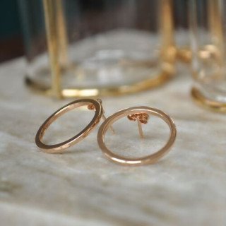 Puces d'oreilles